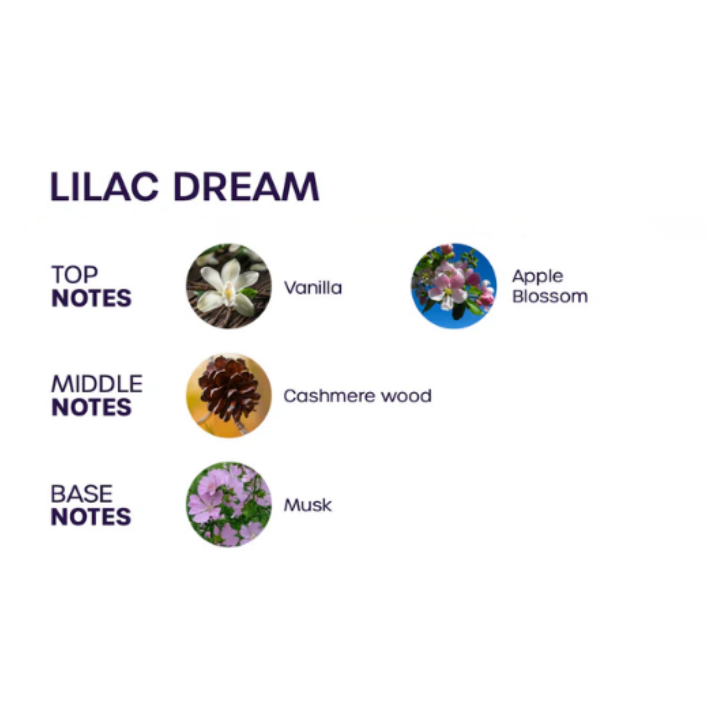 Bloom Pheromone Body Oil